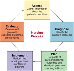 What are the 5 steps of nursing process?