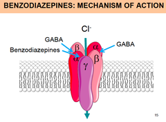 Where on the GABA-a channels do Benzodiazepines bind