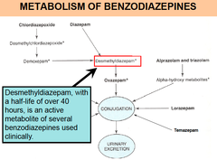 Why are Diazepam and Flurazepam such long acting drugs