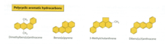 1. carcinogenic polycyclic aromatic hydrocarbons aka polycyclic hydrocarbons (PAHs)