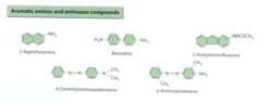 2. carcinogenic aromatic amines