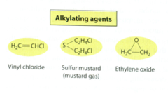 4. carcinogenic alkylating agents