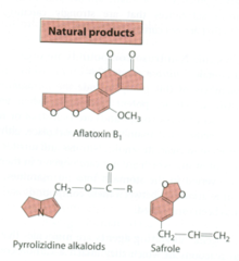 5. carcinogenic natural products