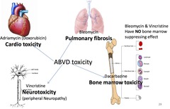 ABVD - toxicity profile