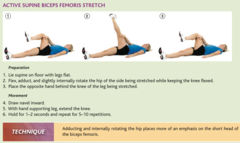 Active Isolated Stretching