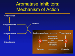 Anastrozole