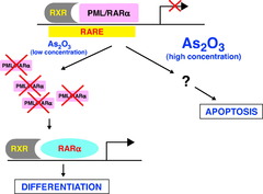 Arsenic trioxide