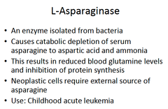 Asparaginase (Lspar)