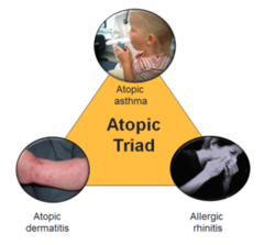 Atopy is: a. An early stage of AIDS b. A hypersensitivity or allergic state c. A type of lymphoma d. A disease found in tropical areas e. Acute infectious disease caused by Epstein-Barr virus