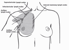 axillary and other draining lymph nodes