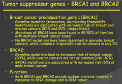 BRCA1 and BRCA2 (Breast Cancer Predisposition Gene 1 and 2) (2014)