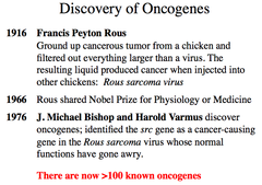 Brief history of oncogenes
