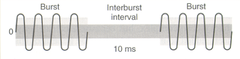 Burst and Interburst Interval Effects