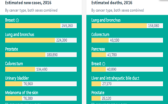 Cancer Cases and Deaths