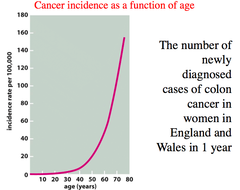 Cancer incidence as a function of age