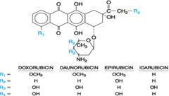 Chemical Structures of Anthracyclines