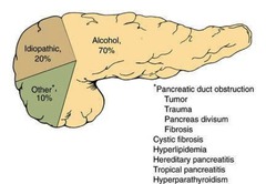 chronic pancreatitis etiology
