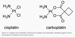 Cisplatin (Platinol) and Carboplatin (Paraplatin)