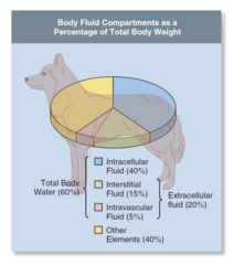 Composition of Body Fluids