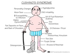 *Cushing syndrome* ^ ACTH