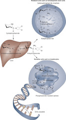 Cyclophosphamide