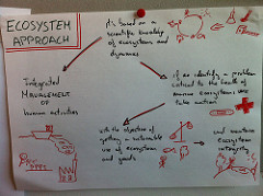 ECOSYSTEMIC APPROACH