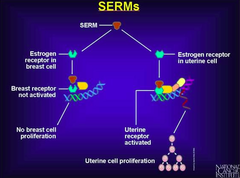 Estrogen/Progesterone Inhibitors & Antagonists:  Selective Estrogen Receptor Modulators (SERMs):  whats the idea behind these drugs and what benefits can they offer?