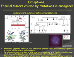 Exceptions... Familial tumors caused by mutations in oncogenes (my notes)