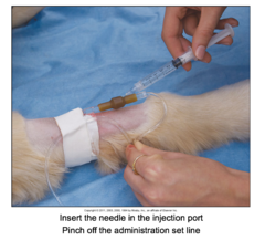 Giving an IV Injection Through an IV Administration Set Port (Cont'd-2)