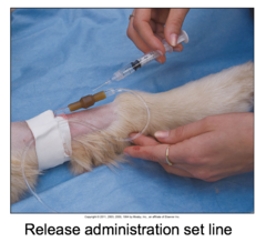 Giving an IV Injection Through an IV Administration Set Port (Cont'd-4)