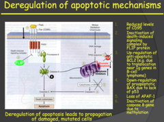 Hallmarks of cancer - Deregulation of apoptotic mechanisms (2015)