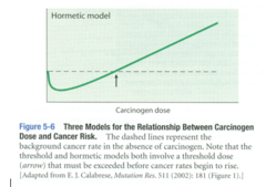 hormetic model