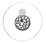 interphase-picture and words