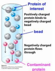 ion exchange chromatography purpose