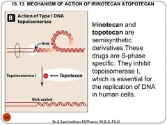 Irinotecan