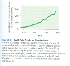 mesothelioma