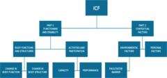 More complex version (figure) of to show the structure of the ICF model.