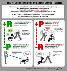 Operant conditioning