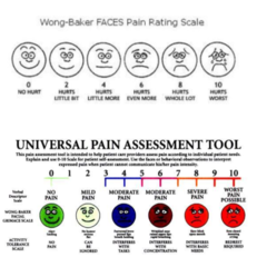 PAIN  1.) 2 main ways to attain?  Over ____ pain assessment tools for infants  Common tools are? (3)  Ask parent about reports of pain  Inquire about pain in age appropriate terms