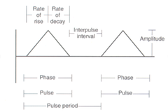 Parts of Monophasic Waveform