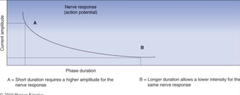 Phase Duration and Action Potentials