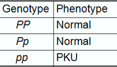Phenylketonuria PKU