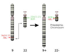 Philadelphia Chromosome