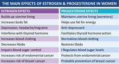 Physiologic Effects of Progesterone   Other Effects:  renal tubules body temp ventilation CNS