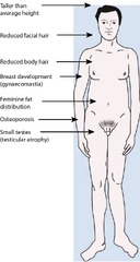 Polysomy X/ Klinefelter's syndrome