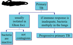 Primary TB