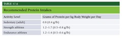 Protein Intake Recommendations