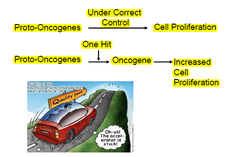 Proto-Oncogenes/Oncogenes