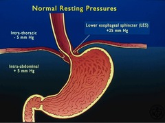 resting pressures