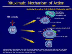 Rituximab Diagram